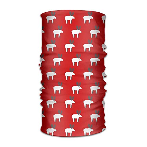 KL Decor Divertidos Hot Dogs y Glass Magic Scarf Headwear Bandanas Mascarilla Masajeador de Cuello para Hombres y Mujeres