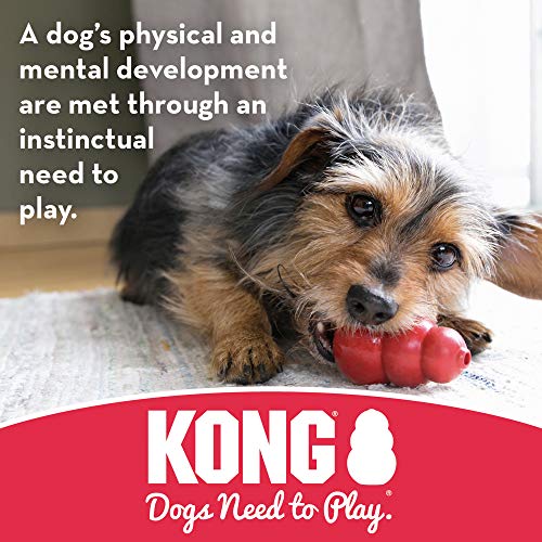 KONG - Goodie Bone - Hueso dispensador de golosinas en Caucho Resistente - para Perros Medianos