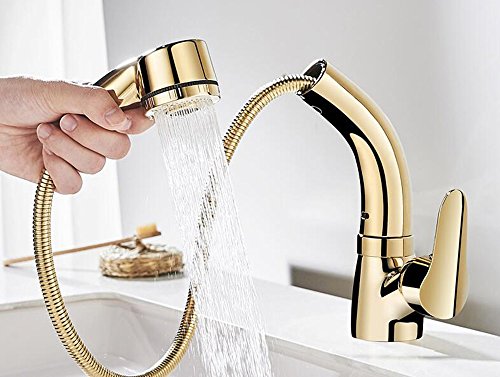 KTYX El Grifo de Lavabo de Tipo Dorado Caliente y frío Puede elevar la rotación telescópica del champú