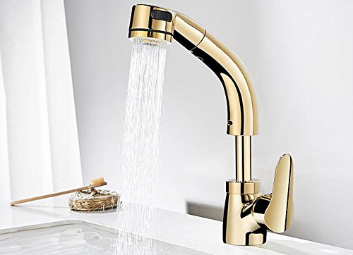 KTYX El Grifo de Lavabo de Tipo Dorado Caliente y frío Puede elevar la rotación telescópica del champú