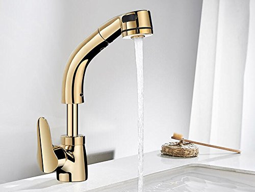 KTYX El Grifo de Lavabo de Tipo Dorado Caliente y frío Puede elevar la rotación telescópica del champú