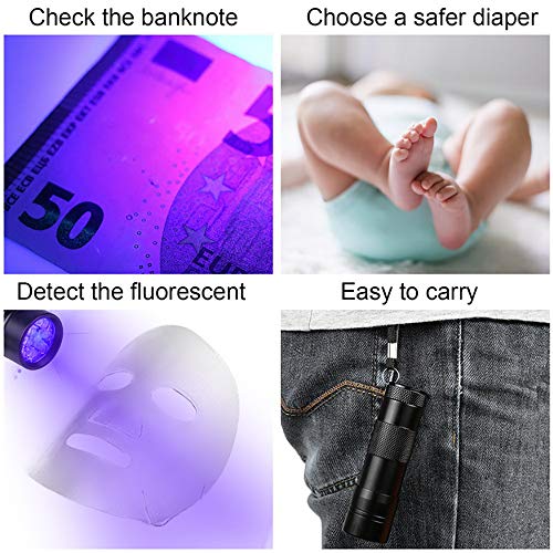 LABOTA 6 Paquete Linterna ultravioleta, Led Linterna UV flashlight 9 LED, linterna para mascotas, detector de orina de prueba rápida, enuresis, insectos y manchas