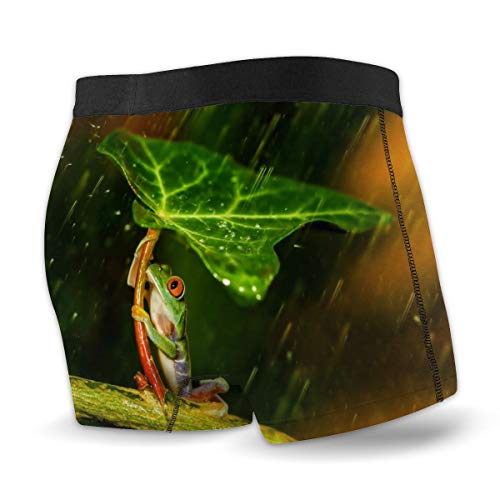 LAOLUCKY - Calzoncillos tipo bóxer de porcelana para hombre y niño Negro Negro ( M