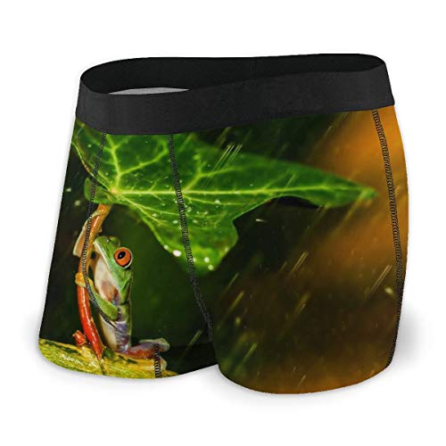 LAOLUCKY - Calzoncillos tipo bóxer de porcelana para hombre y niño Negro Negro ( M