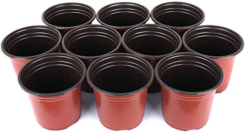 LATERN 50Pcs 15cm Macetas de Plástico para Plantas Macetas de Inicio de Semillas Livianas Macetas de Vivero Macetas Contenedor de Plantas de Flores(15 x 13 cm)