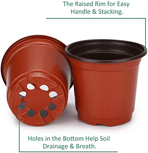 LATERN 50Pcs 15cm Macetas de Plástico para Plantas Macetas de Inicio de Semillas Livianas Macetas de Vivero Macetas Contenedor de Plantas de Flores(15 x 13 cm)
