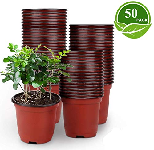 LATERN 50Pcs 15cm Macetas de Plástico para Plantas Macetas de Inicio de Semillas Livianas Macetas de Vivero Macetas Contenedor de Plantas de Flores(15 x 13 cm)