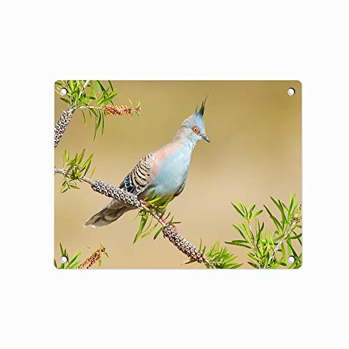 Leonat Novedad Original Pintura al óleo Pastel Delantal de impresión para Hornear Elaboración Jardinería Cocina Durable Limpieza fácil Babero Creativo para Hombre y Mujer Tamaño estándar