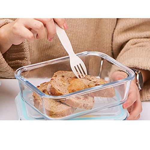 Levoberg 2 piezas – Tartera de cristal con compartimentos con bolsa térmica almuerzo cubiertos y recipiente de cristal para el almuerzo 18 * 13.5 * 6 cm, verde, 18*13.5*6cm