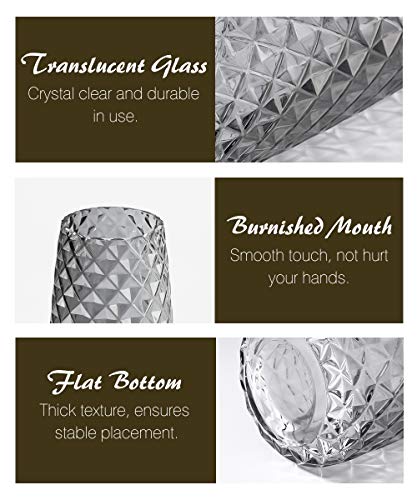 Lewondr Florero de Vidrio con Raya de Piña, 22CM Florero Decorativo Estilo Ins de Cristal Translúcido, Adecuado para Colocar Diferentes Tipos de Ramos de Flores en Oficina y Hogar – Gris Ahumado
