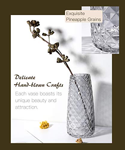 Lewondr Florero de Vidrio con Raya de Piña, 22CM Florero Decorativo Estilo Ins de Cristal Translúcido, Adecuado para Colocar Diferentes Tipos de Ramos de Flores en Oficina y Hogar – Gris Ahumado