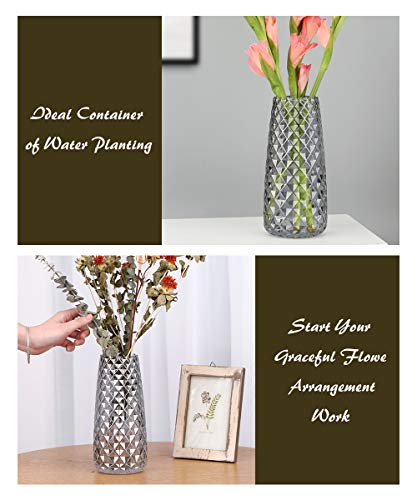 Lewondr Florero de Vidrio con Raya de Piña, 22CM Florero Decorativo Estilo Ins de Cristal Translúcido, Adecuado para Colocar Diferentes Tipos de Ramos de Flores en Oficina y Hogar – Gris Ahumado