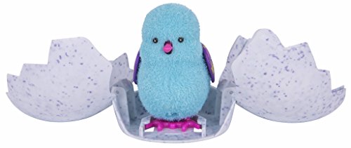 Little Live Pets - Baby Pollito Tilly, Color Azul (Famosa 700013831)