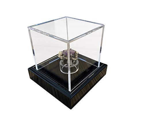LL-Golf Pequeño Universal acrílico Vitrina 6 x 6 x 6 cm/Showcase/Display Case/Vitrina con Terciopelo Negro por Ejemplo para Joyas, Figuras, Modelos, Minerales, Piedras, Medalla, Moneda