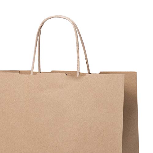 Lote de 100 Bolsas de Papel Kraft 23 x 22 x 9 cm + 3 Blocs de notas Mariposas- 100 Gr/m2 - Bolsas Marrones Kraft Retro Natural