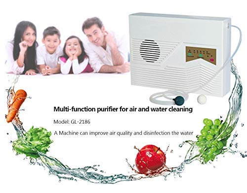LQZHP Limpiador purificador de aire para ionizador de casa, 220 V, 110 V, generador de ozonizador y mando a distancia