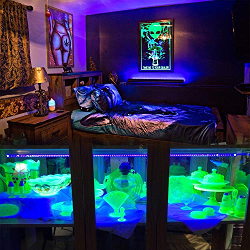 Luz Negra UV,Eleganted 10W Luz 220V UV Led Tubo con EU Enchufe para Halloween Fiestas Boda Iluminación