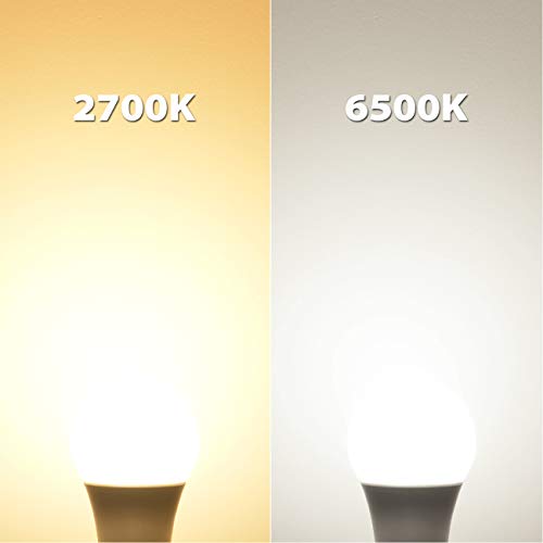 LVWIT Bombillas LED A60, Casquillo E27, equivalente a 100W, 6500K Luz Blanca Fría,1521 lm, Bajo consumo, No regulable - Pack de 6 Unidades.