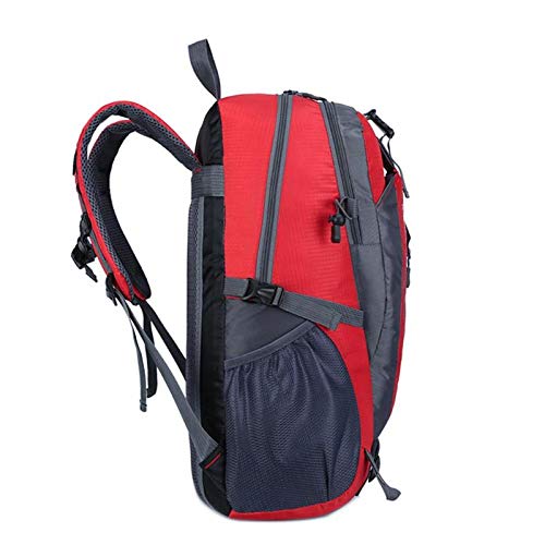 LXUNIA Backpack Refrigerador térmico Aislado Comida Pizza Tortas Entrega Bolso Colorido Caja Bolsas térmicas para la Cesta de Alimentos Bolsos Tote Picnic Bolsa