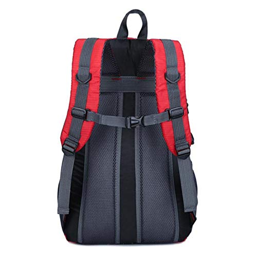 LXUNIA Backpack Refrigerador térmico Aislado Comida Pizza Tortas Entrega Bolso Colorido Caja Bolsas térmicas para la Cesta de Alimentos Bolsos Tote Picnic Bolsa