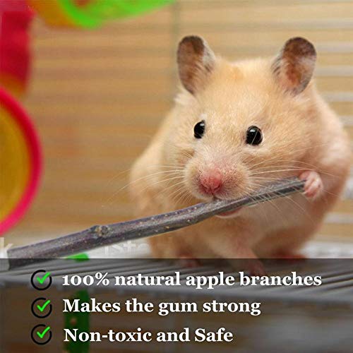 LYY Juguetes para Masticar Animales con palitos de Manzana Naturales, Ricos en nutrientes como ácido de Frutas y pectina, Secos y fáciles de Masticar para Tener Dientes sanos y Buena digestión (400g)