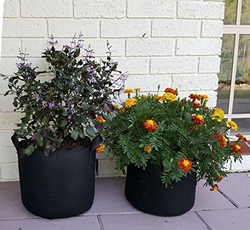 Maceta de Cultivo, JER 5pcs Bolsa de Cultivo de Plantas,Saco de Planta,Tiestos de Flores de Tela con Aireación y con Asas de 3 Galones - no Tejidos, Transpirables, Permeables y Degradables (Negro)