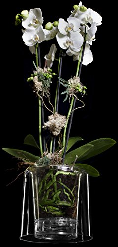 Maceta para orquideas transparente