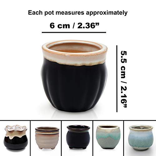 Maceteros Decorativos (Pack de 6) - 5,5cm de Alto x 6cm de Diámetro - Macetas Ceramica 6 Diseños Diferentes – Set Macetas Suculentas con Desagüé – Ideal para el Hogar, Oficina, Interiores, Exteriores