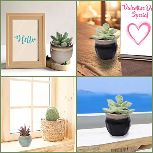 Maceteros Decorativos (Pack de 6) - 5,5cm de Alto x 6cm de Diámetro - Macetas Ceramica 6 Diseños Diferentes – Set Macetas Suculentas con Desagüé – Ideal para el Hogar, Oficina, Interiores, Exteriores