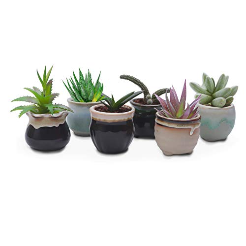 Maceteros Decorativos (Pack de 6) - 5,5cm de Alto x 6cm de Diámetro - Macetas Ceramica 6 Diseños Diferentes – Set Macetas Suculentas con Desagüé – Ideal para el Hogar, Oficina, Interiores, Exteriores