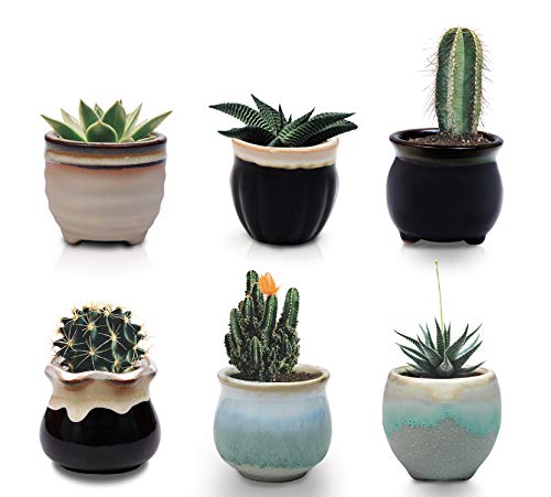 Maceteros Decorativos (Pack de 6) - 5,5cm de Alto x 6cm de Diámetro - Macetas Ceramica 6 Diseños Diferentes – Set Macetas Suculentas con Desagüé – Ideal para el Hogar, Oficina, Interiores, Exteriores