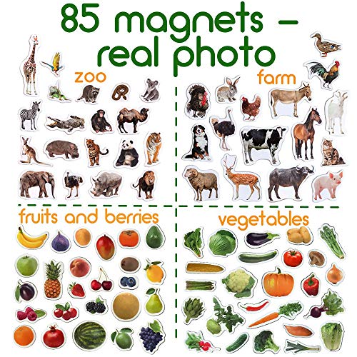 MAGDUM 85 Fotos Set Animales&Frutas&Verduras en Caja de Lata de Regalo-imanes de bebé Realistas-85 Grandes Juguetes de imán para 3 años-Juegos Educativo Aprender magnético para niños-Teatro Magnético