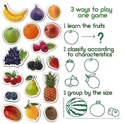 MAGDUM Frutas&Bayas Imanes Foto Real Infantil para niños - Imanes Nevera Grandes - Juguetes EDUCATIVOS bebé 3 años - Imanes Pizarra magnética para Aprender - Teatro de imán para niños