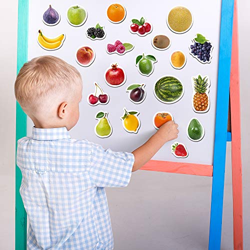 MAGDUM Frutas&Bayas Imanes Foto Real Infantil para niños - Imanes Nevera Grandes - Juguetes EDUCATIVOS bebé 3 años - Imanes Pizarra magnética para Aprender - Teatro de imán para niños