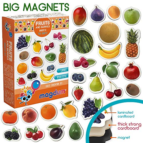 MAGDUM Frutas&Bayas Imanes Foto Real Infantil para niños - Imanes Nevera Grandes - Juguetes EDUCATIVOS bebé 3 años - Imanes Pizarra magnética para Aprender - Teatro de imán para niños