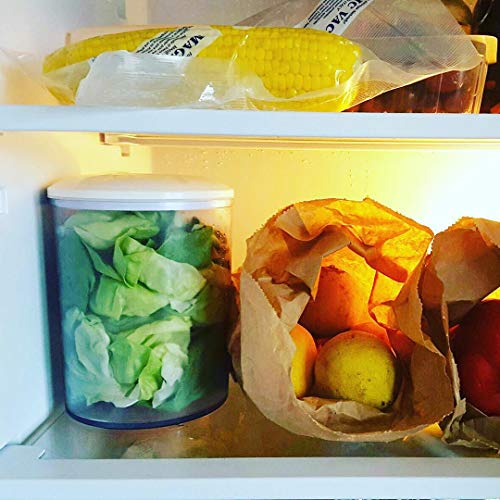 Magic VCK 150 - Recipiente con tapa para envasar al vacío, 1.5 l, transparente