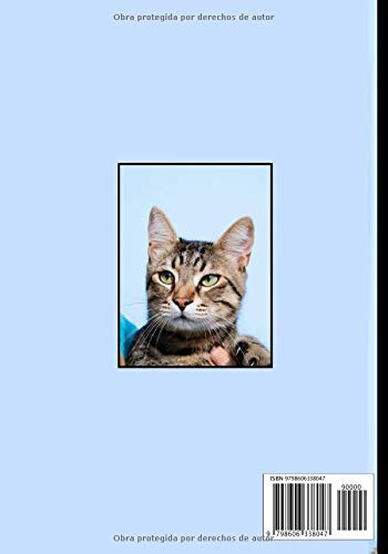 Mi gato es el mas hermoso: Cuaderno de seguimiento para los que cuidan de su gato y no quieren descuidar nada:  La caja de arena, el rascador, el árbol para gatos, sus juguetes favoritos...