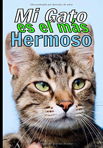 Mi gato es el mas hermoso: Cuaderno de seguimiento para los que cuidan de su gato y no quieren descuidar nada:  La caja de arena, el rascador, el árbol para gatos, sus juguetes favoritos...