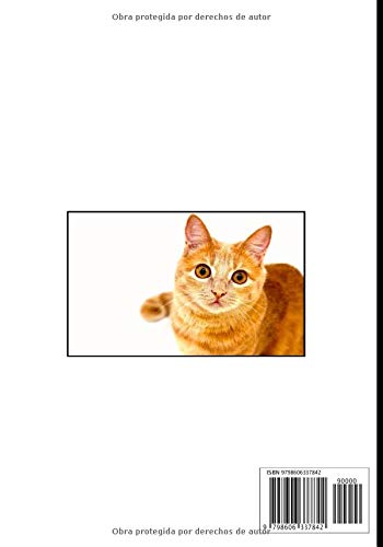 Mi gato y yo: Cuaderno de seguimiento para los que cuidan de su gato y no quieren descuidar nada:  La caja de arena, el rascador, el árbol para gatos, sus juguetes favoritos...