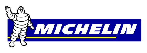 MICHELIN 9501 - Bomba de Aire de Pedal (7 Bar)
