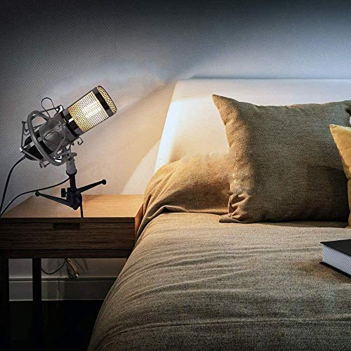 Micrófono Simple Y Creativo Lámpara de Escritorio-Retro Industrial Creativa Sala de Estar Habitación Cama Luz de Mesa Cafetería Rústica Bar Club Decoración Decoración Luz de Mesa, HJY