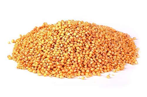 Mijo dorado austríaco pelado, ecológico sin gluten 2,4 kg Bio, biológico, sin OMG, crudo, mijo de Austria, especialmente limpios y sin datura 6x400g