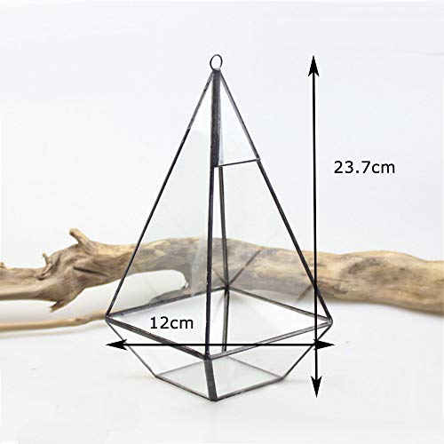 MINGZE para Colgar Cristal terrario, diseño de pirámide Interior Superficie Caja Claro Abierto Helechos y Musgo Plantas carnosas Maceta (Negro Lata)