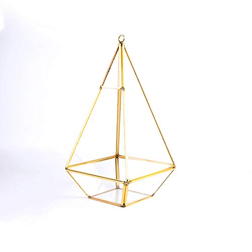 MINGZE para Colgar Cristal terrario, diseño de pirámide Interior Superficie Caja Claro Abierto Helechos y Musgo Plantas carnosas Maceta (Negro Lata)