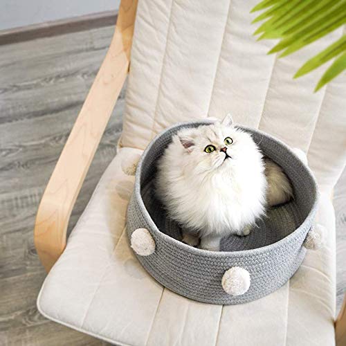 MiXXAR - Cesta de cama para gatos (40 x 40 x 16 cm), color gris
