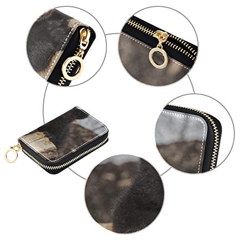 Monedero/Tarjeta de crédito Monedero American Black Bear Cub Escalada Naipes Monedero para Mujer Delgado Cuero PU Cremallera Alrededor Tamaño Compacto Soporte para Tarjetas de crédito Impermeable p