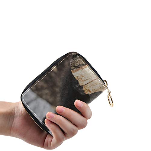 Monedero/Tarjeta de crédito Monedero American Black Bear Cub Escalada Naipes Monedero para Mujer Delgado Cuero PU Cremallera Alrededor Tamaño Compacto Soporte para Tarjetas de crédito Impermeable p