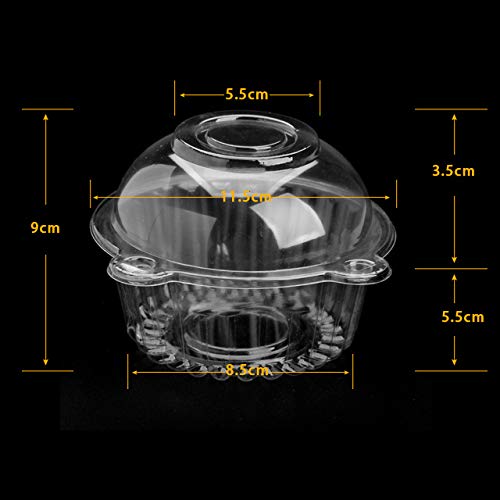 MorNon 50 Piezas Comida Conjunto Cajas Transparente Redondas Tapa Hermética Pastelitos Paquete de Contenedores Almacenamiento Pasteles
