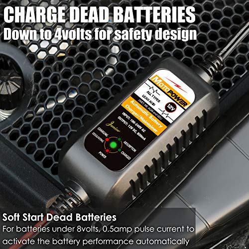 MOTOPOWER MP0205A 12V 800mA Cargador de batería automático/Mantenedor para automóviles, Motocicletas, ATVs, RVs, Powersports, Barco y más. Inteligente, Compacto y Respetuoso del Medio Ambiente