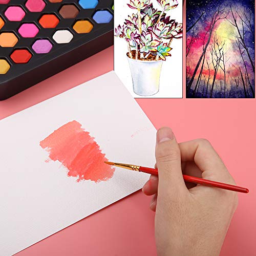 mreechan Set de Pinturas de Acuarela,Set de Acuarelas de 36 Colores de Agua, Incluye 36 Colores,10 Papeles de Acuarela,3 Pinceles de Agua y 1 Esponja para Principiantes y Profesionales